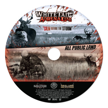 Calm Before the Storm | Season 6 | 1 Movie